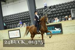 24BUCK_06375 thumbnail