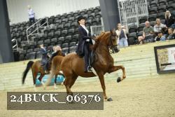 24BUCK_06376 thumbnail