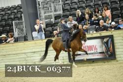 24BUCK_06377 thumbnail