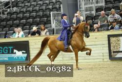 24BUCK_06382 thumbnail