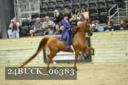 24BUCK_06383 thumbnail