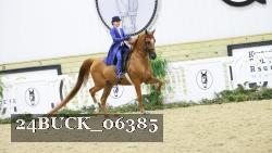 24BUCK_06385 thumbnail