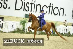 24BUCK_06399 thumbnail