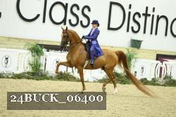 24BUCK_06400 thumbnail
