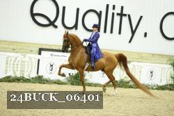 24BUCK_06401 thumbnail