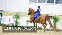 24BUCK_06403 thumbnail