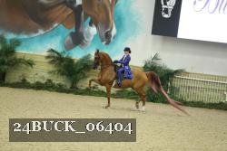 24BUCK_06404 thumbnail