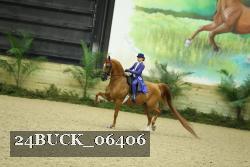 24BUCK_06406 thumbnail
