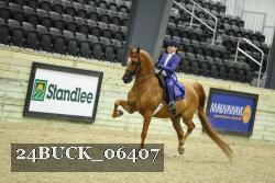 24BUCK_06407 thumbnail