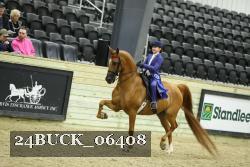 24BUCK_06408 thumbnail