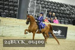 24BUCK_06409 thumbnail