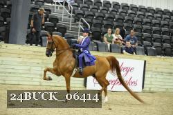 24BUCK_06414 thumbnail