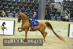 24BUCK_06415 thumbnail