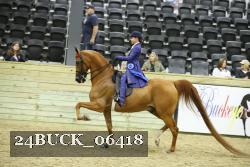 24BUCK_06418 thumbnail