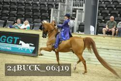 24BUCK_06419 thumbnail
