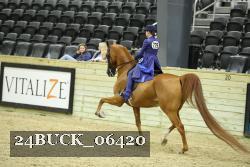24BUCK_06420 thumbnail
