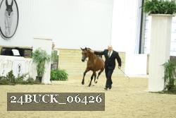 24BUCK_06426 thumbnail