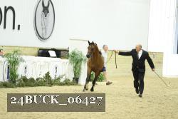 24BUCK_06427 thumbnail