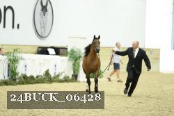 24BUCK_06428 thumbnail