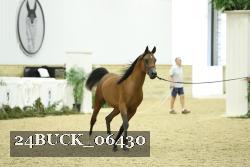 24BUCK_06430 thumbnail