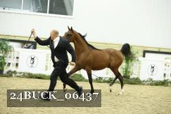 24BUCK_06437 thumbnail