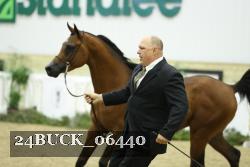 24BUCK_06440 thumbnail