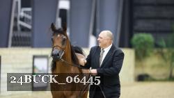 24BUCK_06445 thumbnail