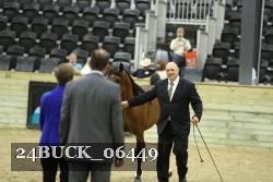 24BUCK_06449 thumbnail