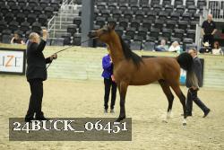 24BUCK_06451 thumbnail