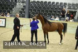 24BUCK_06454 thumbnail
