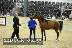 24BUCK_06455 thumbnail