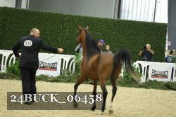 24BUCK_06458 thumbnail