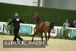 24BUCK_06459 thumbnail