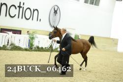 24BUCK_06462 thumbnail