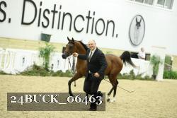24BUCK_06463 thumbnail