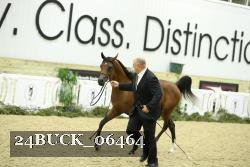 24BUCK_06464 thumbnail