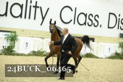 24BUCK_06465 thumbnail