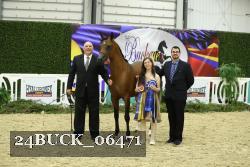 24BUCK_06471 thumbnail