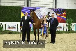 24BUCK_06472 thumbnail