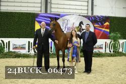 24BUCK_06473 thumbnail