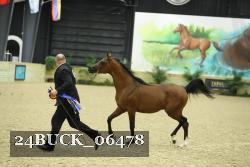 24BUCK_06478 thumbnail