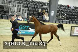 24BUCK_06483 thumbnail