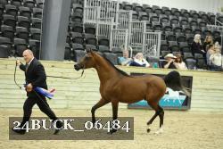 24BUCK_06484 thumbnail