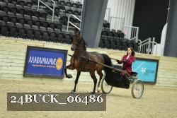 24BUCK_06486 thumbnail