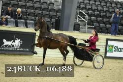 24BUCK_06488 thumbnail