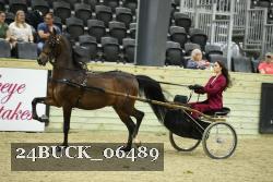 24BUCK_06489 thumbnail