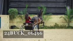 24BUCK_06496 thumbnail