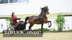 24BUCK_06497 thumbnail