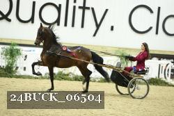 24BUCK_06504 thumbnail