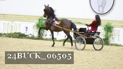 24BUCK_06505 thumbnail